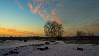 Sunset tree snow benches matte - godray free wallpaper