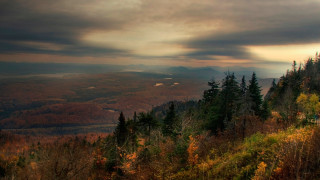 Forest hill cloudy sunset autumn - free landscape wallpaper