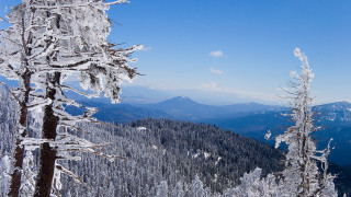 Snowy mountain trees blue sky 13 - tree and mountains free wallpaper