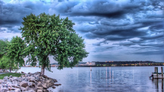 Lake shore tree cloudy sky - the shore of a lake free wallpaper for desktop