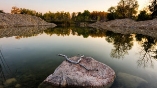 Snake rock lake forest sunset - andy goldsworthy free wallpaper