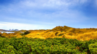 Grassy field mountain lake autumn - a mountain in the background and a body of water free wallpaper