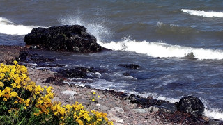 Rocky shore waves yellow flowers - over the water free wallpaper for desktop