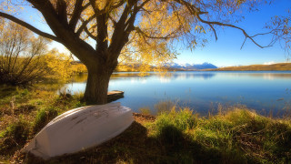Surfboard lake shore trees mountains - bob thompson free wallpaper for desktop