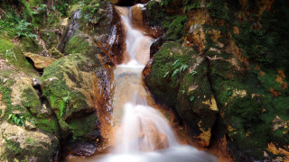Small waterfall mossy rocks forest - mossy free wallpaper