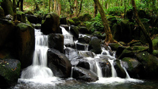 Tropical waterfall forest rocks trees - tropical free wallpaper for desktop