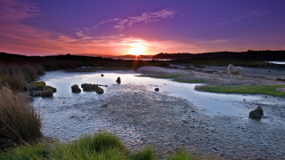 Sunset river rocks grass sheep - rock and grass free wallpaper