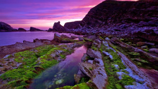 Rocky beach mossy rocks purple - a rocky beach free wallpaper