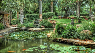 Pond gazebo waterlilies arts crafts - a pond free wallpaper