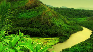 River forest hillside mountain green - afewerk tekle free wallpaper for desktop