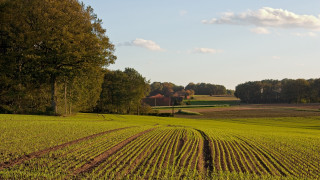 Field trees house sky clouds - landscape free wallpaper