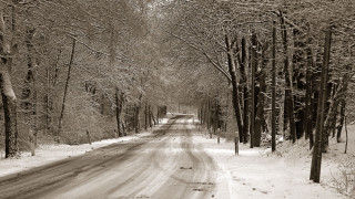 Snowy road trees winter blackandwhite - a snowy road free wallpaper