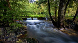 Small waterfall forest rocks stream - the center of the picture free wallpaper for desktop