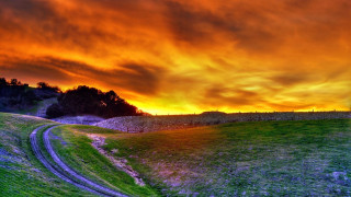Grassy field dirt road sunset - a red sky in the background free wallpaper