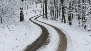 Snowy forest curved road matte - road free wallpaper for desktop