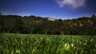 Hollywood mountain field blurry nature - cinematic landscape free wallpaper for desktop