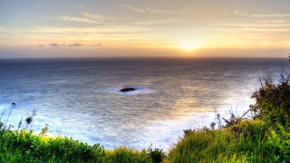 Sunset water island shore bush - a small island in the middle of the water free wallpaper