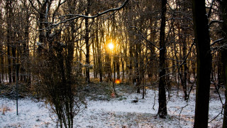 Snowy forest sunset city ferris - the ground and the ground free wallpaper