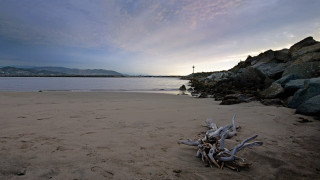Driftwood beach dusk cloudy sky - beach free wallpaper for desktop