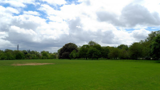 Large field trees clouds horizon - a large field free wallpaper