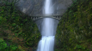 Bridge waterfall forest scenery nature - a bridge over free wallpaper