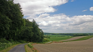 Road field trees clouds sky - ernst free wallpaper for desktop