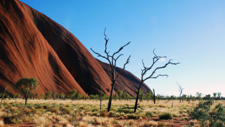 Barren tree desert rocks blue - barren free wallpaper