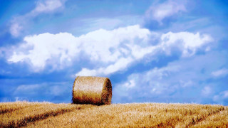 Hay bale field blue sky 3 - photorealistic imagery free wallpaper