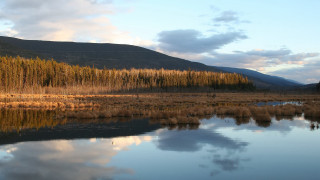 Lake forest sky clouds distant - a forest free wallpaper