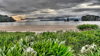 Scenic beach forest bushes water - the foreground and a body of water free wallpaper for desktop