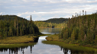 River forest boat cloudy landscape - a cloudy day free wallpaper