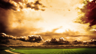 Green field dirt road cloudy - a dirt road free wallpaper