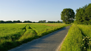 Road field trees grass mountain - a field of grass and trees free wallpaper for desktop