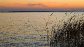 Hudson river sunset reeds impressionist - charles ragland bunnell free wallpaper