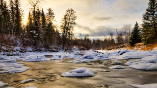 River snow trees cloudy sky 2 - a few snow free wallpaper