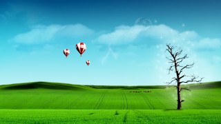 Tree field hotairballoons moon mountains - a lone tree in the foreground free wallpaper for desktop