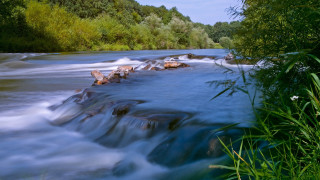 River water trees bushes ecological - the bank free wallpaper