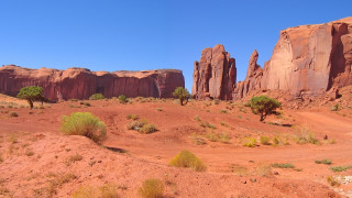 Desert dirt road trees rocks - doug wildey free wallpaper