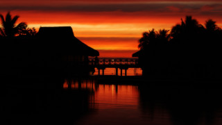 Sunset dock house palm trees - don arday free wallpaper for desktop