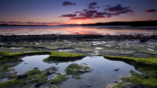 Sunset water rocks algae horizon - a sunset over a body of water free wallpaper for desktop