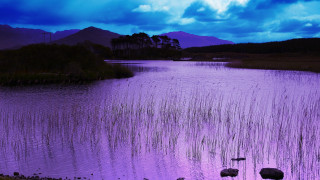 Purple sky lake mountains foreground - rich moody colour free wallpaper