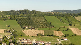Field trees houses hill cityscape - a large field free wallpaper