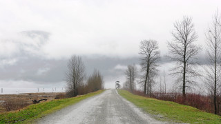 Road trees cloudy sky lighthouse - liminal space free wallpaper