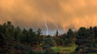 Large cloud lightning forest bush - a large cloud free wallpaper for desktop