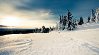 Skiing snowy mountains sunset trees - the cloud free wallpaper