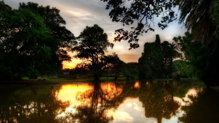 Lake sunset reflections autumn trees - tree and a sunset in the background free wallpaper