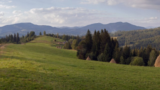 Grassy hill trees mountains clouds - a grassy hill free wallpaper for desktop