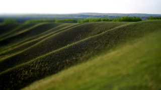 Field trees sky clouds tiltshift - a few green tree free wallpaper
