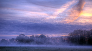Foggy field trees clouds pink - hue free wallpaper