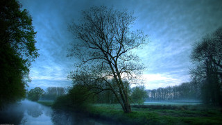 Tree river dusk blue sky - dusk free wallpaper